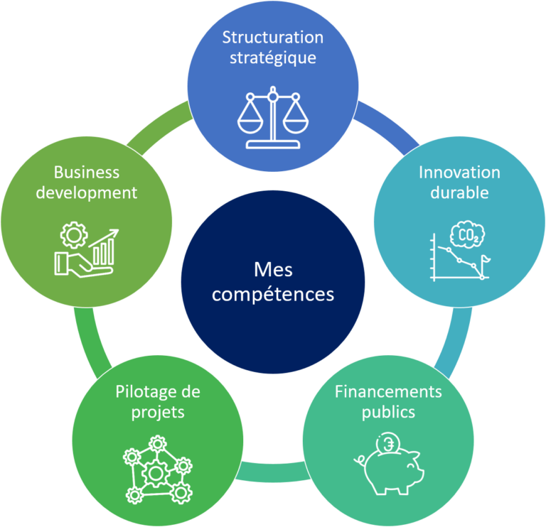 Diagramme des compétences S4IMPACT : structuration stratégique, business development, pilotage de projets, innovation durable et financements publics.